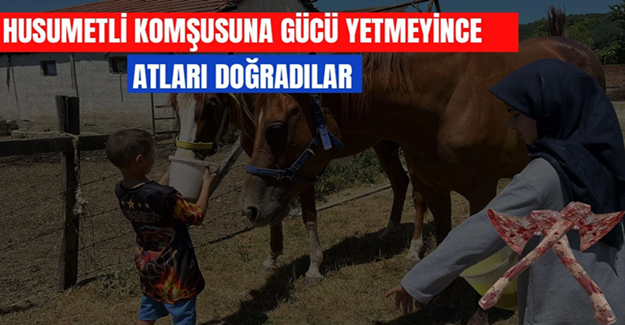 ELLERİYLE BESLEDİKLERİ ATLARI KANLI GÖREN MİNİKLER KABUSU YAŞADI