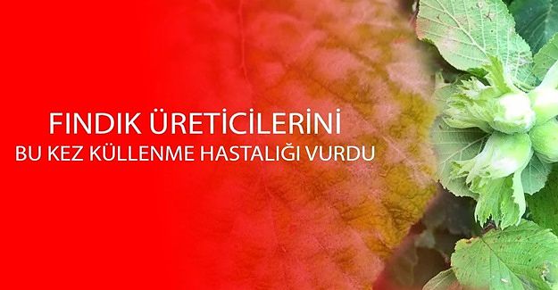 MUTİOĞLU’NDAN ÜRETİCİLERE “BİLİNÇSİZ İLAÇ KULLANMAYIN” UYARISI