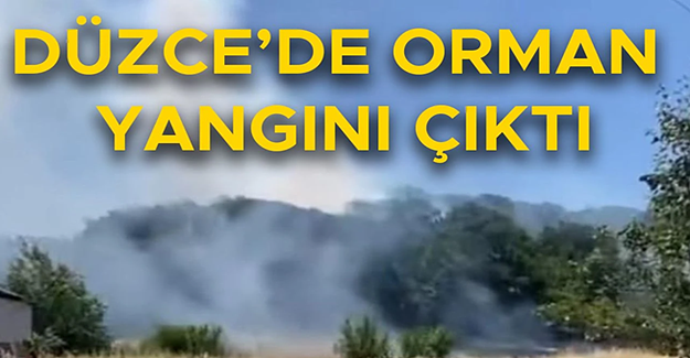 TÜM EKİPLER VE KÖYLÜLER SEFERBER OLDU
