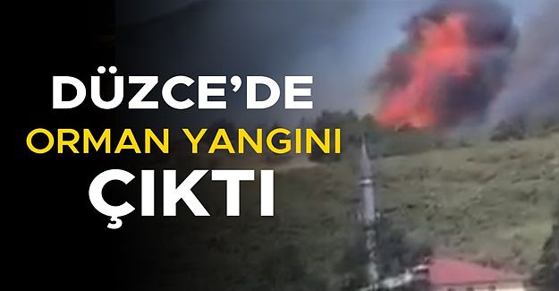 ALEVLER GİTTİKÇE BÜYÜYOR…