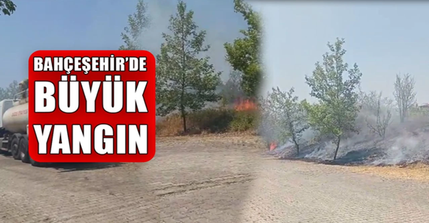 ANIZ YANGINI GENİŞ ALANA YAYILDI