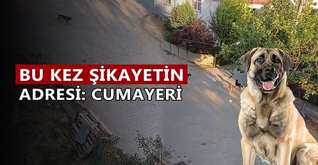 “ÇOCUKLAR DIŞARI ÇIKAMIYOR”