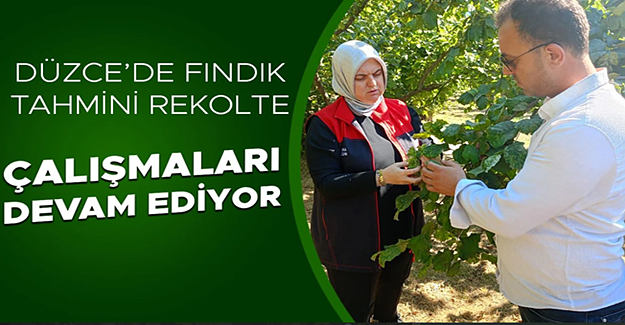 FINDIK BAHÇELERİ KÜLLENME HASTALIĞI VE KURAKLIĞIN TEHDİDİ ALTINDA