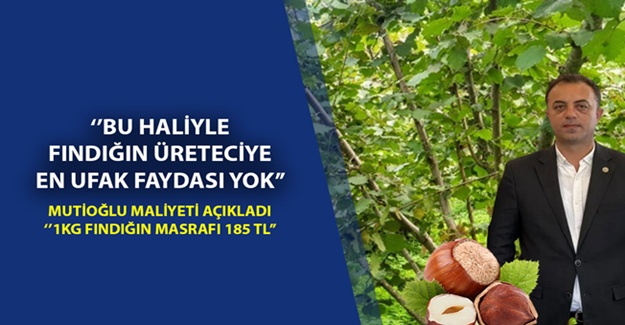 FINDIK FİYATLARININ 350-400 TL OLMASI HAYAL DEĞİL