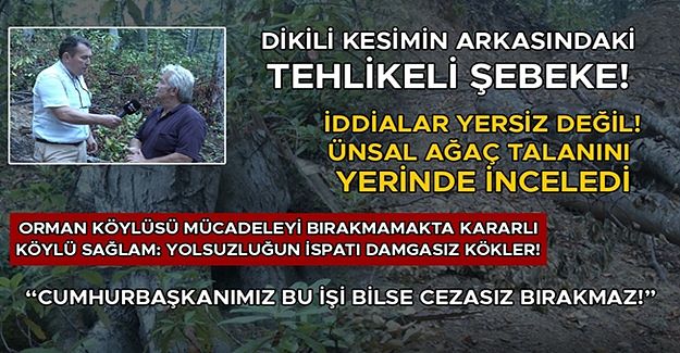 ÜNSAL: DİKİLİ KESİM UYGULAMASI İVEDİLİKLE SONLANDIRILMALI