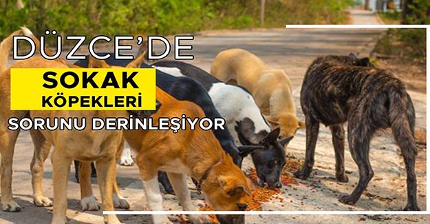 VATANDAŞ VERİLEN SÖZLERİN TUTULMASINI İSTİYOR