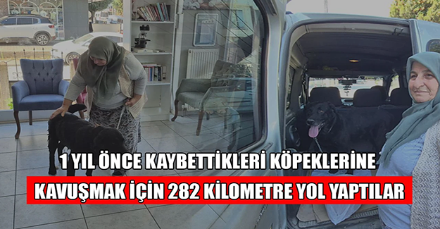 VEFAT EDEN EŞİNİN YADİGARI KÖPEK 1 YIL ÖNCE KAYBETTİĞİ SAHİBİ İLE BULUŞMA ANI YÜREKLERİ SIZLATTI