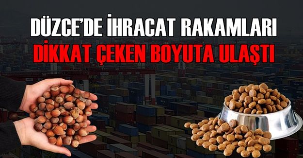 EN ÇOK ORMAN ÜRÜNÜ VE KEDİ – KÖPEK MAMASI İHRAÇ EDİLDİ