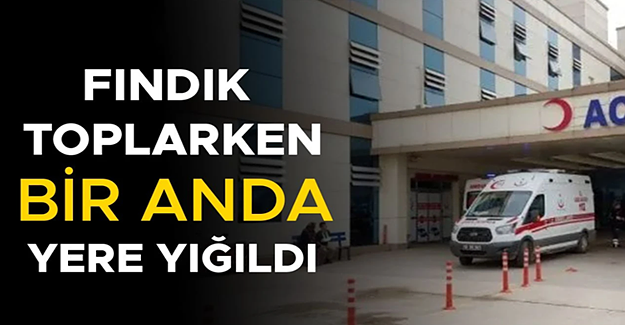 FINDIK İŞÇİSİ KALDIRILDIĞI HASTANEDE TEDAVİ ALTINA ALINDI