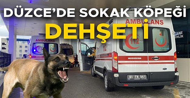 KÖPEĞİN SALDIRISINA UĞRAYAN KÜÇÜK ÇOCUK TEDAVİ ALTINA ALINDI