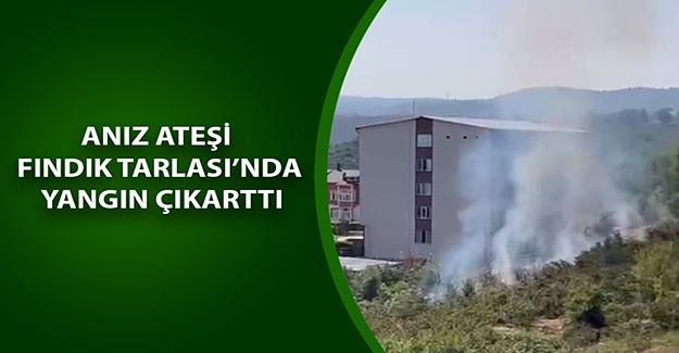 TÜRKİYE’DE ORMAN YANGINLARI KONUŞULURKEN, AKÇAKOCA’DA YÜREKLER AĞIZLARA GELDİ