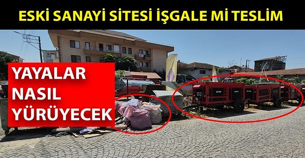 ZABITA BUNLARI GÖRMÜYOR MU?