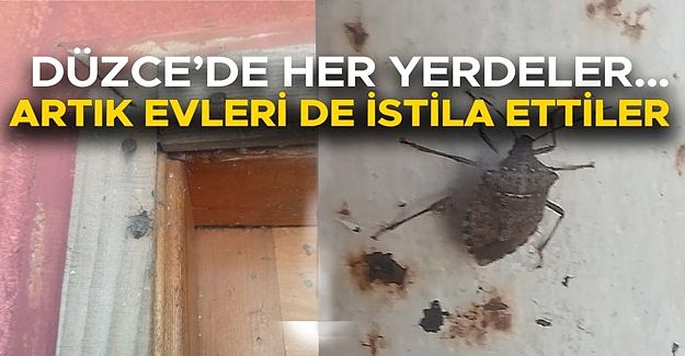 UZMANINDAN ‘KESİNLİKLE ELLE DOKUNMAYIN’ UYARISI