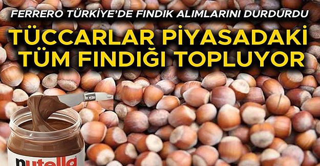 FINDIK FİYATLARI İKİYE KATLANDI