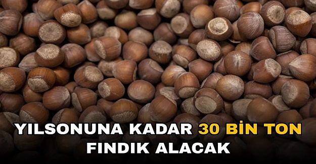 FINDIK FİYATLARININ YÜKSELMESİ BEKLENİYOR