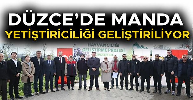 ÜRETİCİLERE 17 ADET MANBDA BOĞASI DAĞITILDI