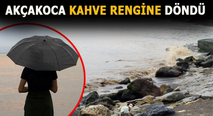 38 kilometrelik sahil şeridi kahverengiye boyandı