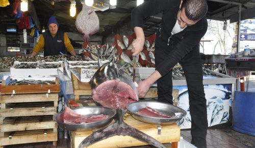  40 KİLOLUK ORKİNOS GRAM GRAM SATILIYOR