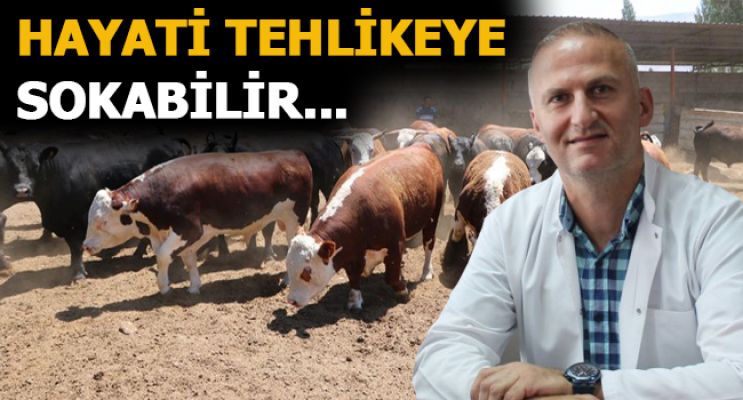 ACEMİ KASAPLARIN DİKKATİNE!   