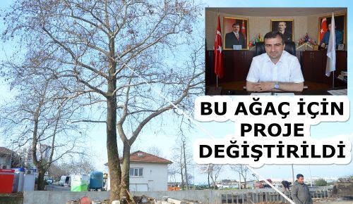 AK PARTİLİ BAŞKAN'IN AĞAÇ SEVGİSİ 