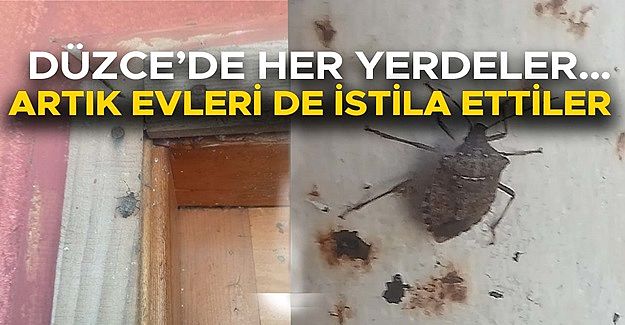 UZMANINDAN ‘KESİNLİKLE ELLE DOKUNMAYIN’ UYARISI