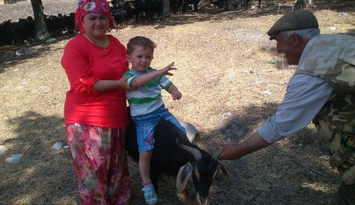 ANNE VE OĞUL ZEHİRLENEREK ÖLDÜ