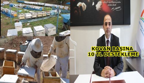 Arıcılarımıza 490 Bin TL Karşılıksız Destek Verilecek