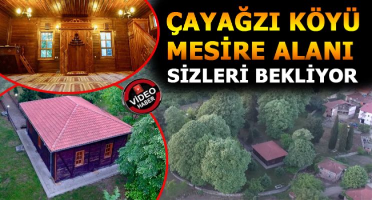 ÇAYAĞZI KÖYÜ MUHTARLIĞI ORHANGAZİ MESİRE ALANI SİZLERİ BEKLİYOR