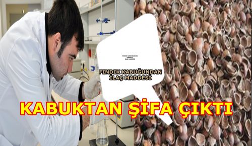 FINDIK KABUĞUNDA KANSER İLACI MADDESİ