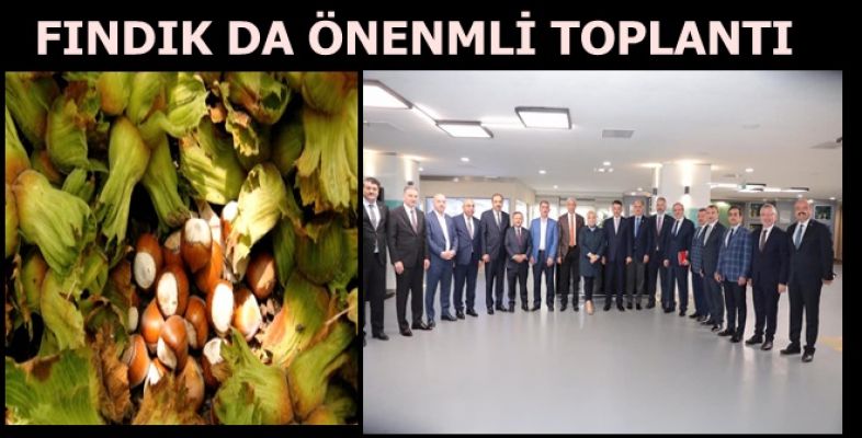 FINDIK ÜRETİCİLERİNİ MAĞDUR ETMEYECEĞİZ 