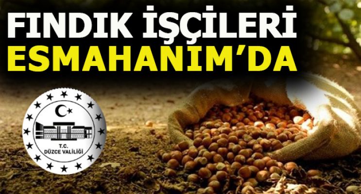 HASAT HAZIRLIKLARI BAŞLADI  