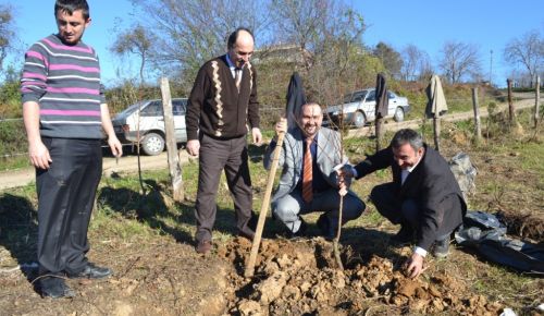HERKES YESİN DİYE DİKTİLER