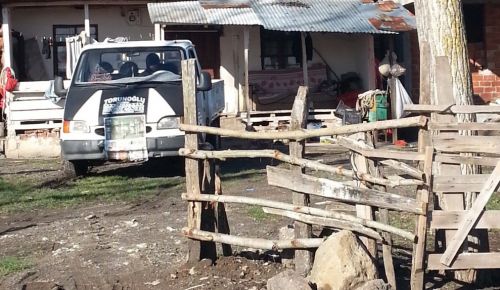 İMAM, HIRSIZI YAKALATTI