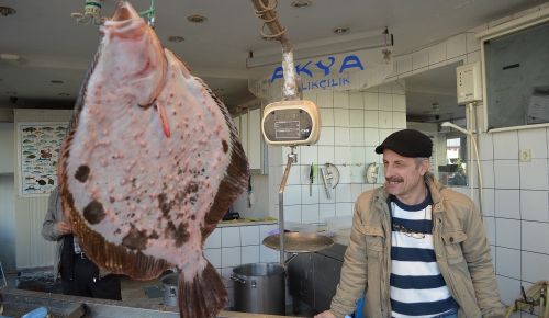 Kalkanın fiyatı altın ile yarışıyor