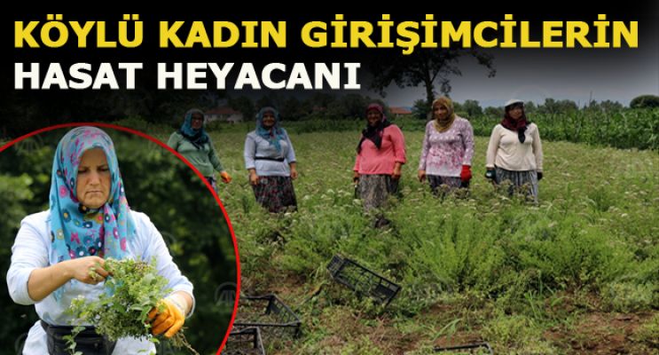 Köylü kadın girişimcilerin hasat heyecanı