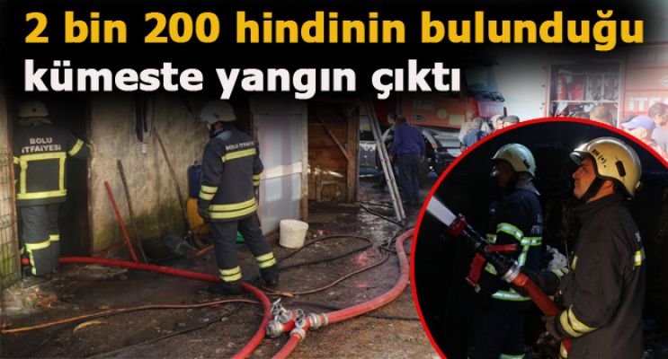 KÖYÜ AYAĞA KALDIRAN YANGIN