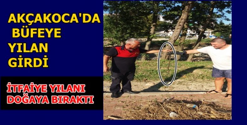 MAHALLE BÜFESİNE YILAN GİRDİ