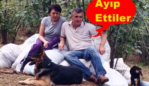 Milleti Aç Susuz Bıraktılar Foto Yorum haberde