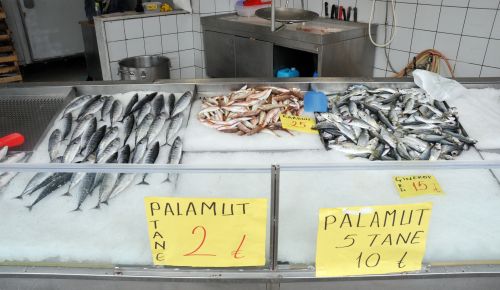 PALAMUT'UN 5 TANESİ 10 TL