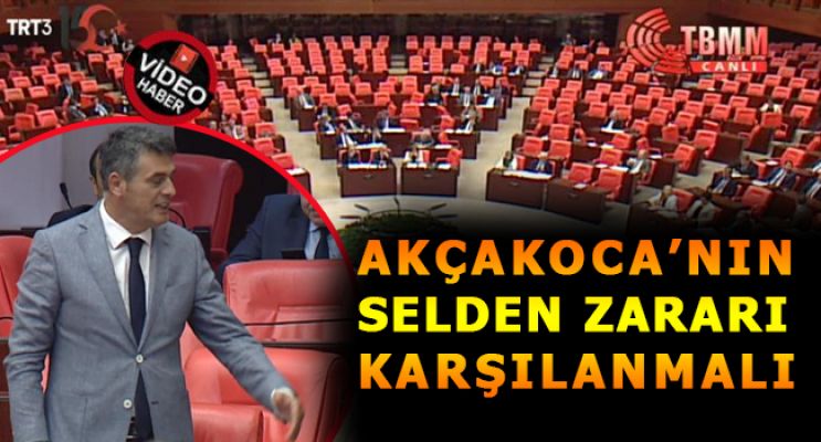SELİN YARALADIĞI AKÇAKOCA’YI MECLİS GÜNDEMİNE TAŞIDI