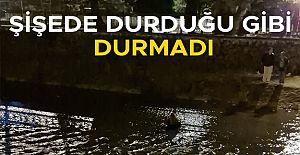 VATANDAŞLARIN ALKOLLÜ GENÇ KIZLA...
