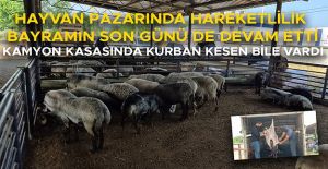 BESİCİLER ELLERİNDE KALAN SON HAYVANLARI SATMAYA ÇALIŞTI