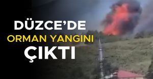 ALEVLER GİTTİKÇE BÜYÜYOR…