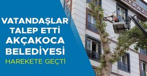 CAN VE MAL GÜVENLİĞİNDE TEHDİT OLUŞTURAN AĞAÇLAR BUDANDI