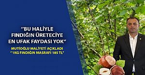 FINDIK FİYATLARININ 350-400 TL OLMASI HAYAL DEĞİL