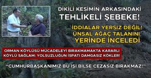 ÜNSAL: DİKİLİ KESİM UYGULAMASI İVEDİLİKLE SONLANDIRILMALI