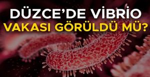 DÜZCE İL SAĞLIK MÜDÜRLÜĞÜ AÇIKLAMA...