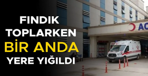 FINDIK İŞÇİSİ KALDIRILDIĞI HASTANEDE TEDAVİ ALTINA ALINDI
