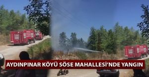 İTFAİYE EKİPLERİNDEN ANINDA MÜDAHALE