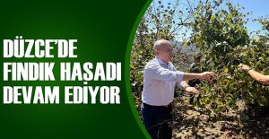 KAYMAKAM PİŞKİN FINDIK TOPLADI